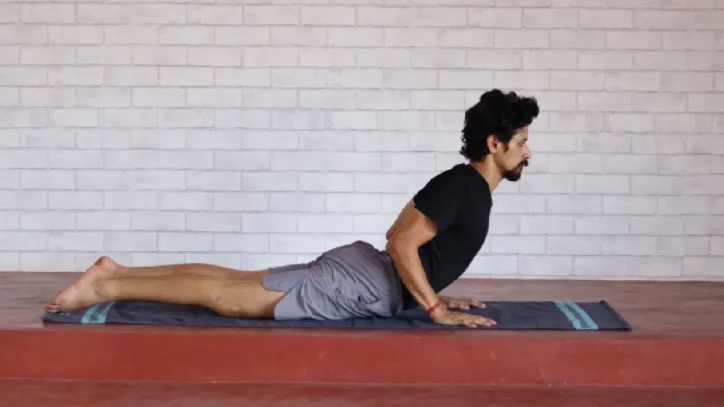 Bhujangasana