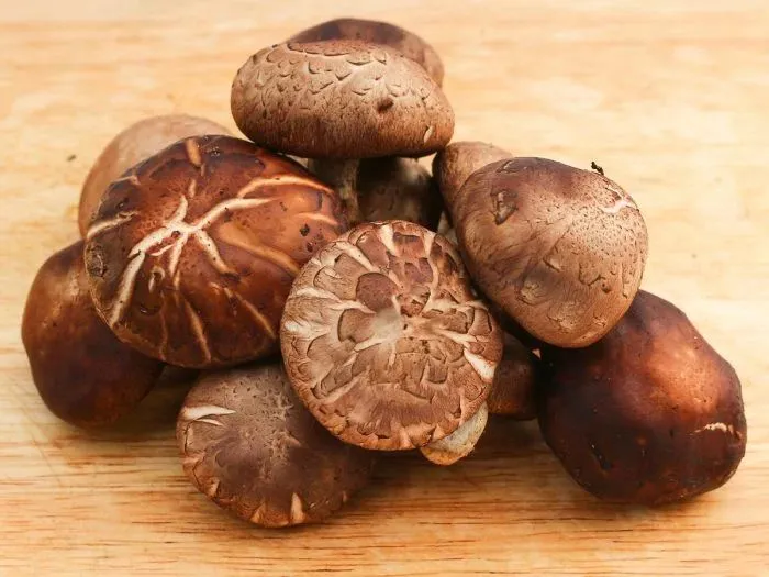 Shiitake Mushrooms