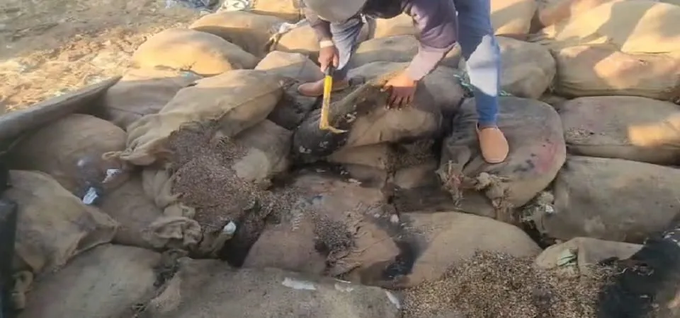 छत्तीसगढ़:गौरेला पेंड्रा मरवाही में कुप्रबंधन के चलते 20 हजार क्विंटल धान  हुआ खराब, छह करोड़ का नुकसान - Due To Mismanagement In Gaurela Pendra  Marwahi, Paddy Stored At ...