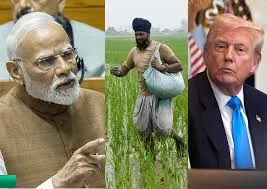 Trump Tariff on India Why row over farm markets derailed trade talks  between US and India भारतीय किसानों को बर्बाद करना चाहता है अमेरिका, आखिर  क्यों पटरी से उतर गई ट्रेड डील?