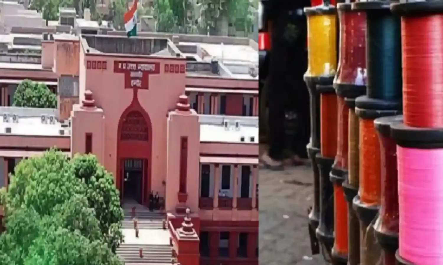 चाइनीज मांझे पर हाई कोर्ट का सख्त: मौत हुई तो गैर-इरादतन हत्या का केस