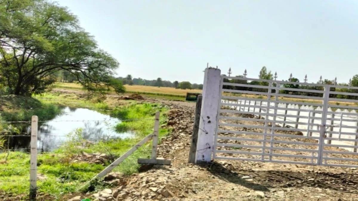 Bhopal News: बड़े तालाब में नए स्थानों पर हो रहा अतिक्रमण, पुराने में ही  उलझे अधिकारी