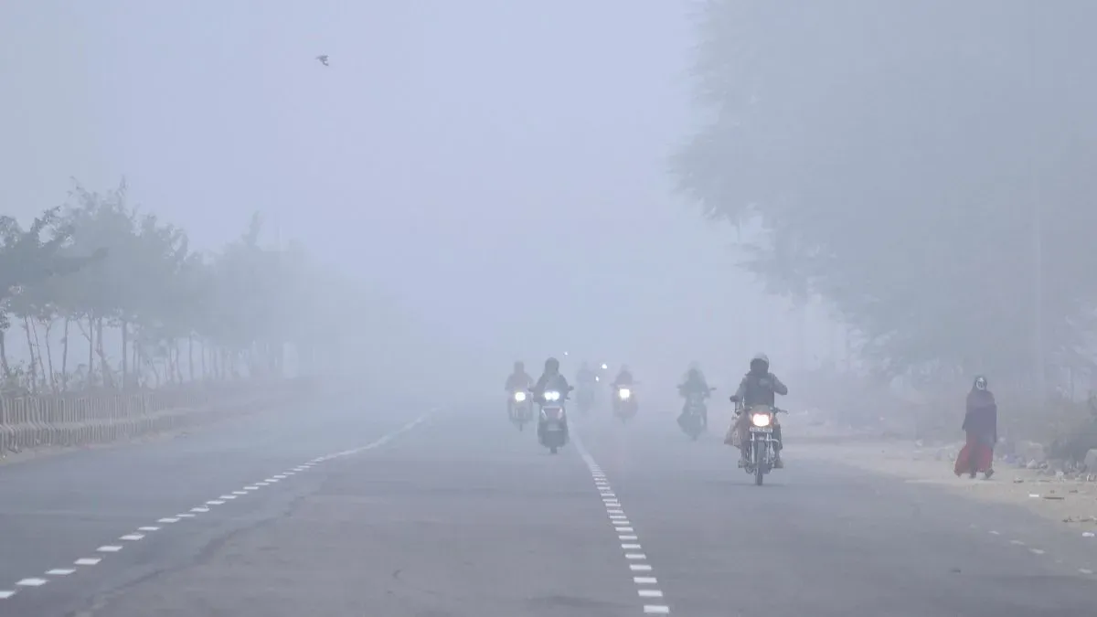 Fog, cold wave cripple life in Rajasthan; 2 more deaths reported