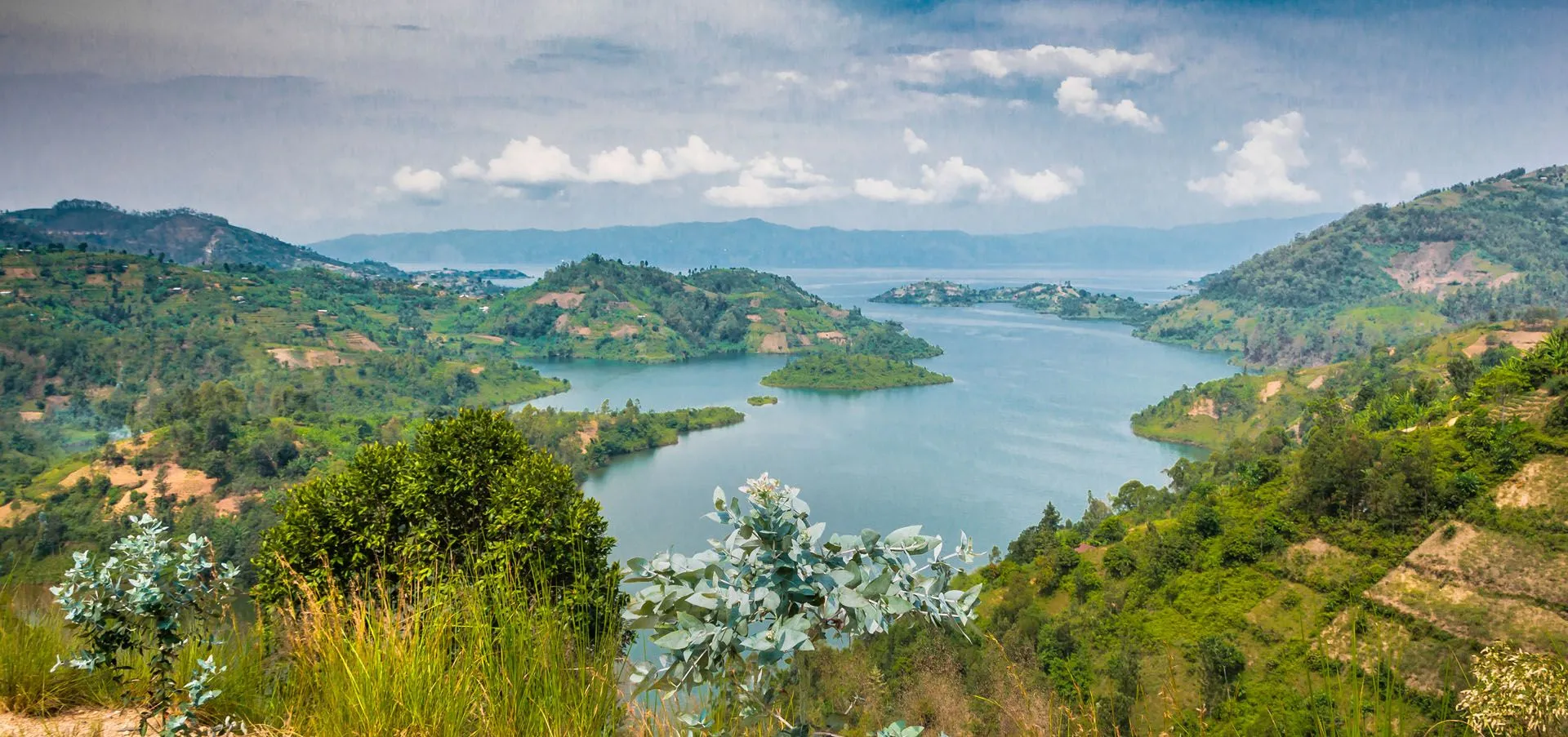 What is Rwanda famous for? Reasons to see more than gorillas | Rough Guides