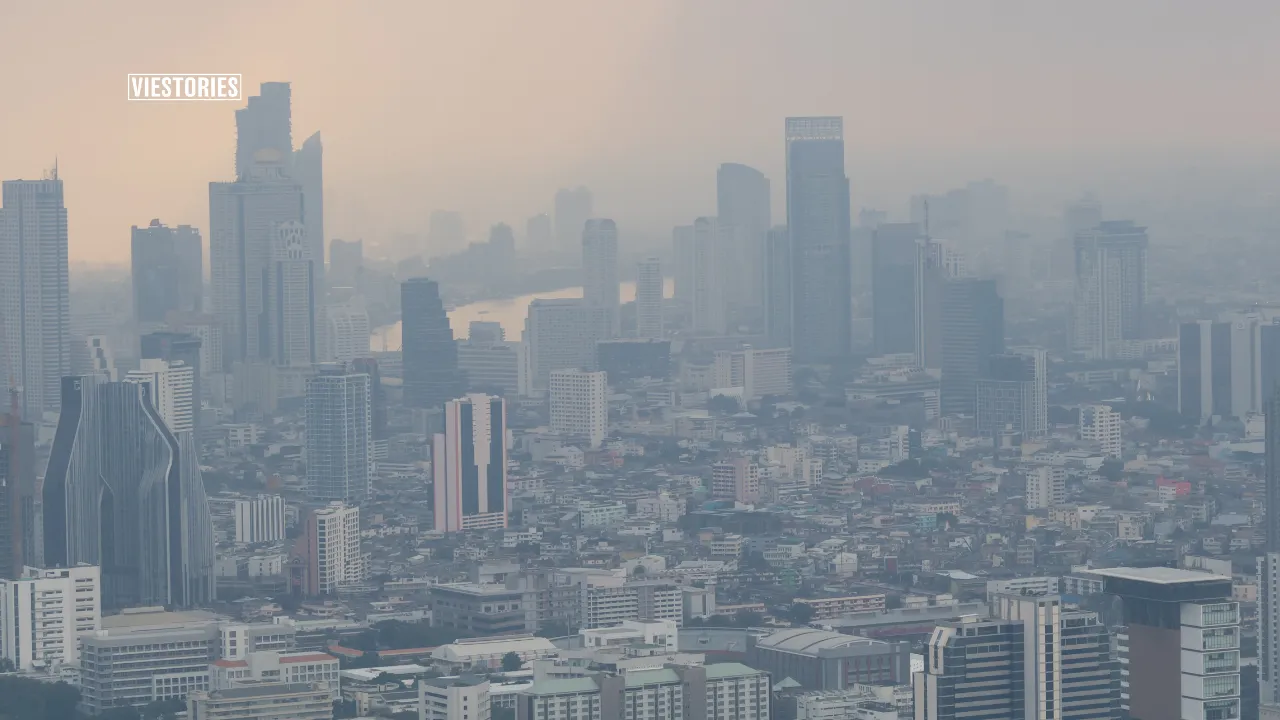 City Pollution is daily life problem that we face daily
