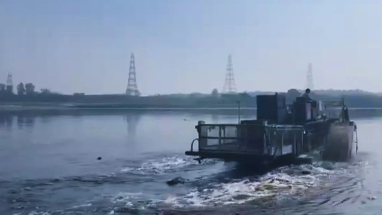 yamuna safai