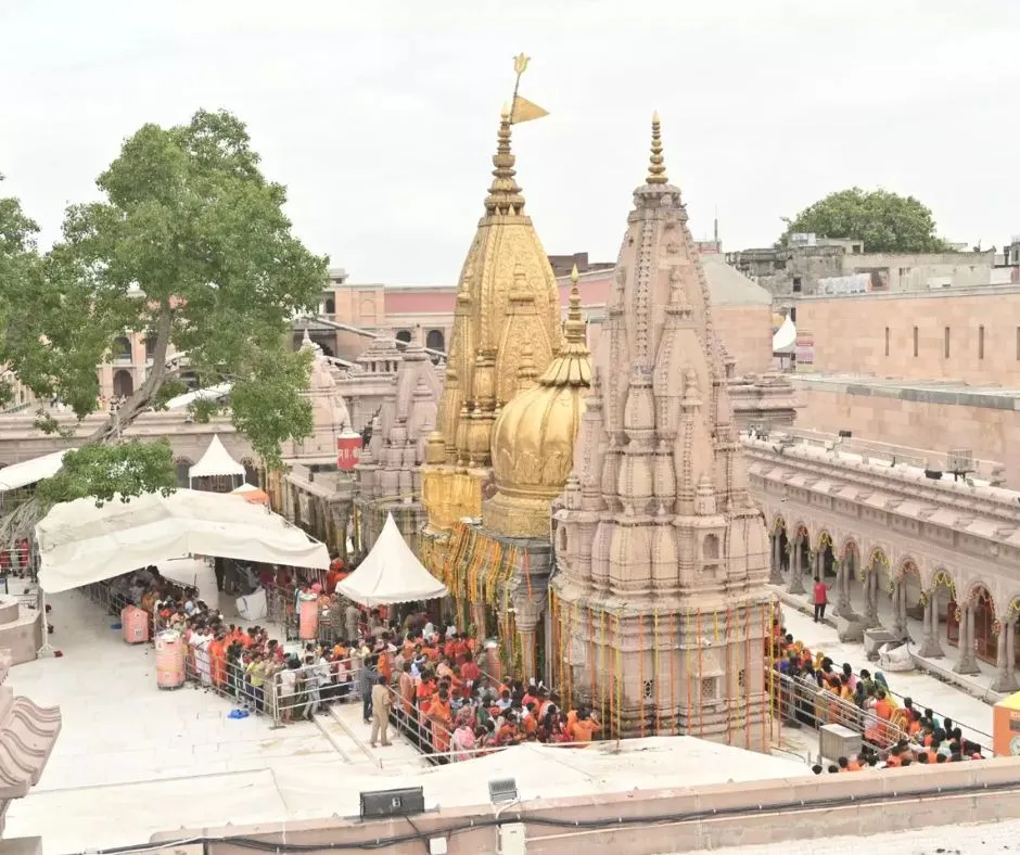kashi