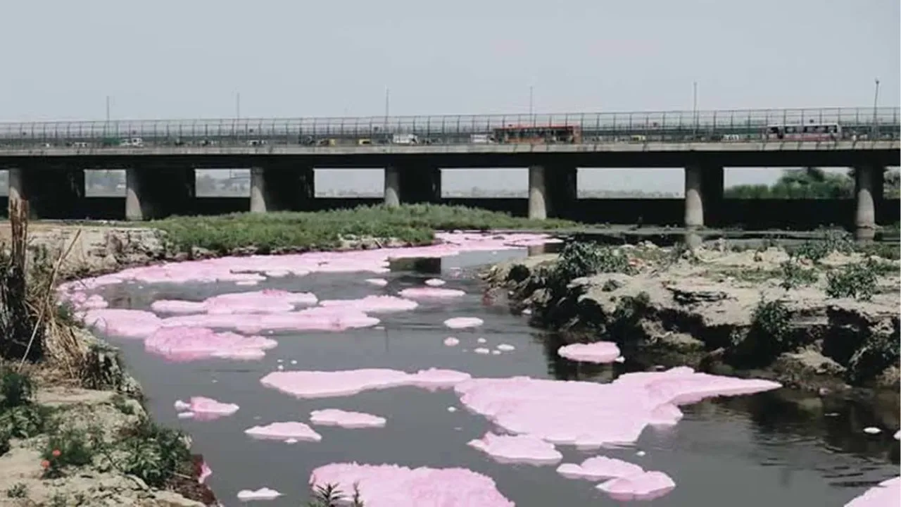 Yamuna
