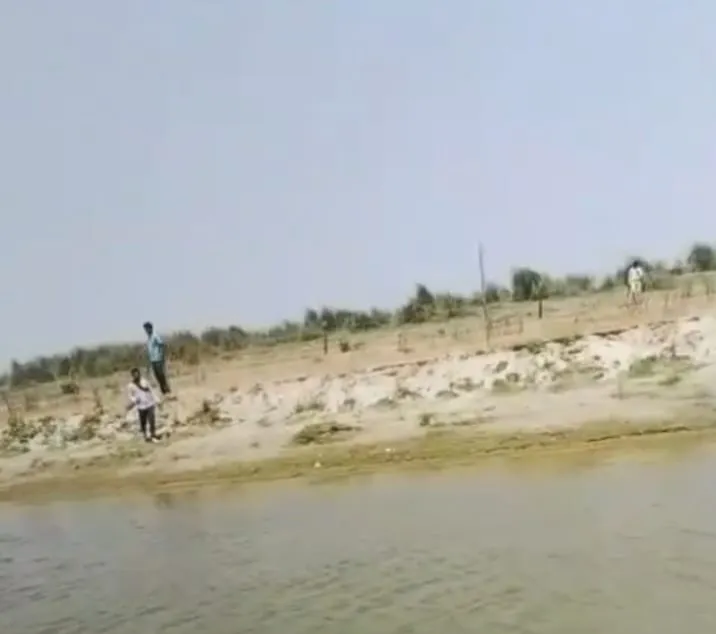 फसल पर चला हथियार