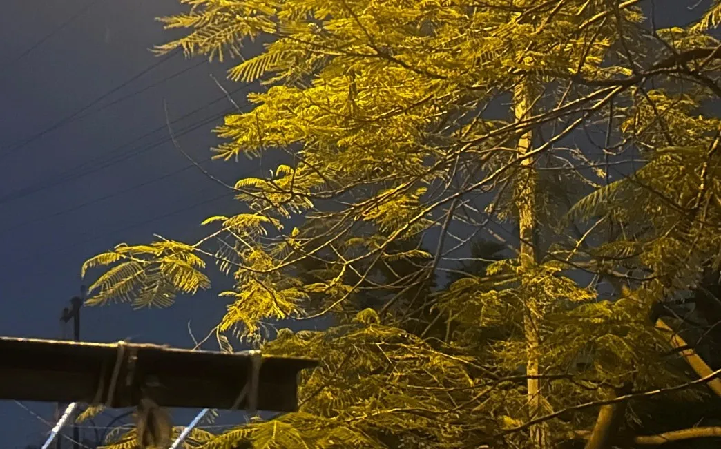 Rain 1