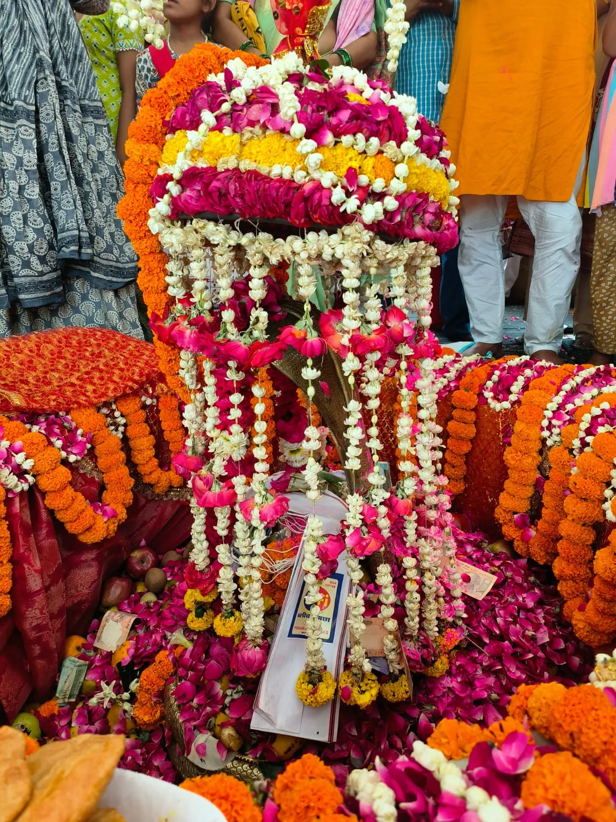 shiv2