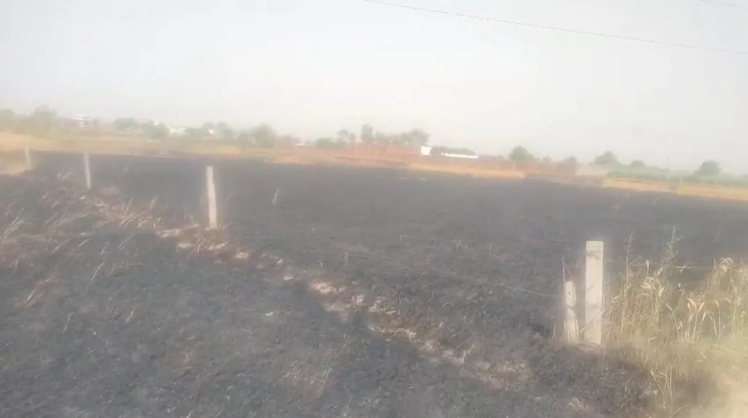 फोटो जर्नलिस्ट सुनील कुमार