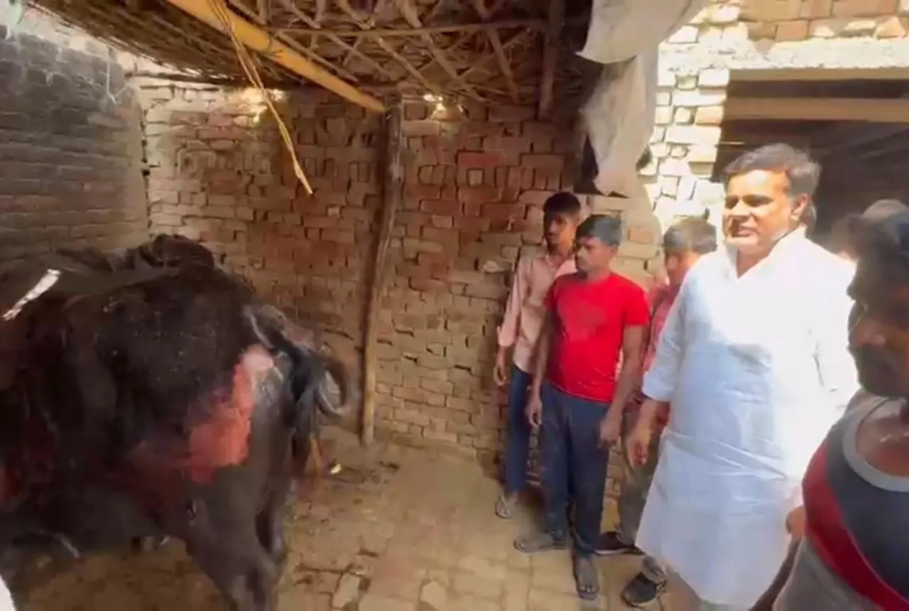 वाईबीएन