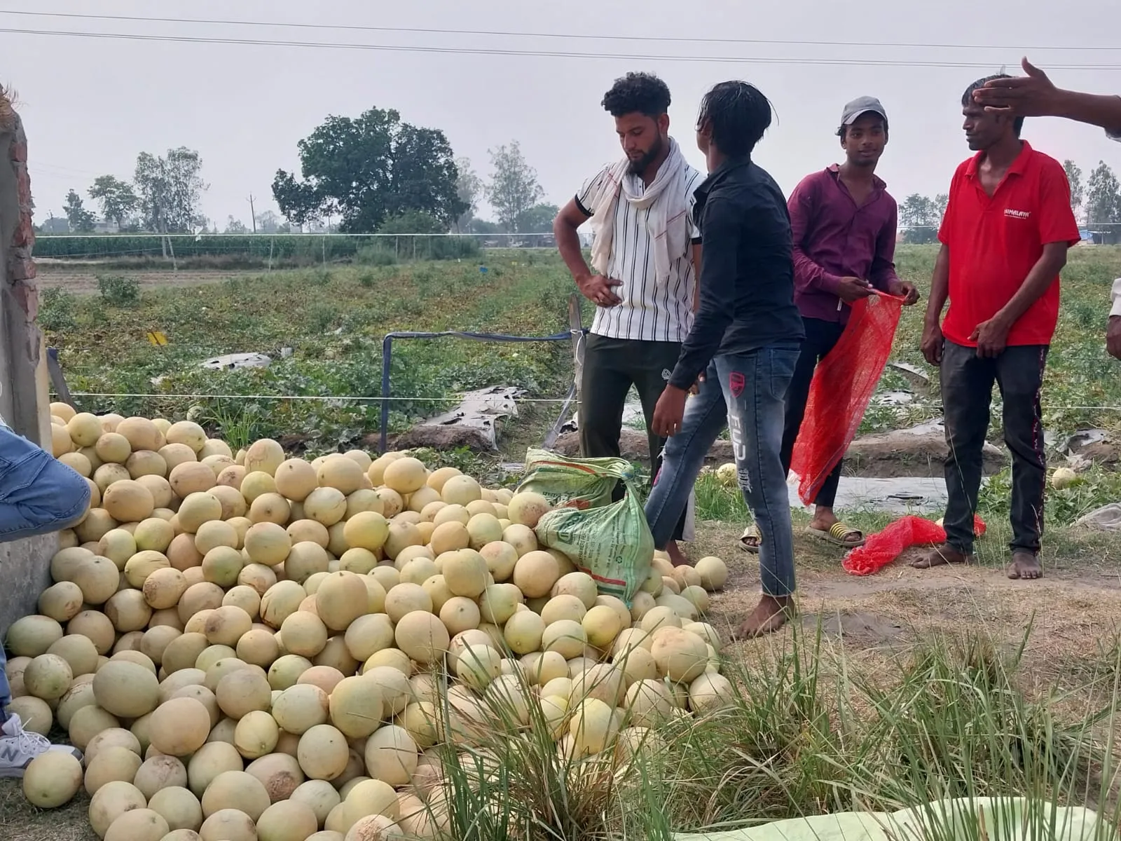 शाहजहांपुर