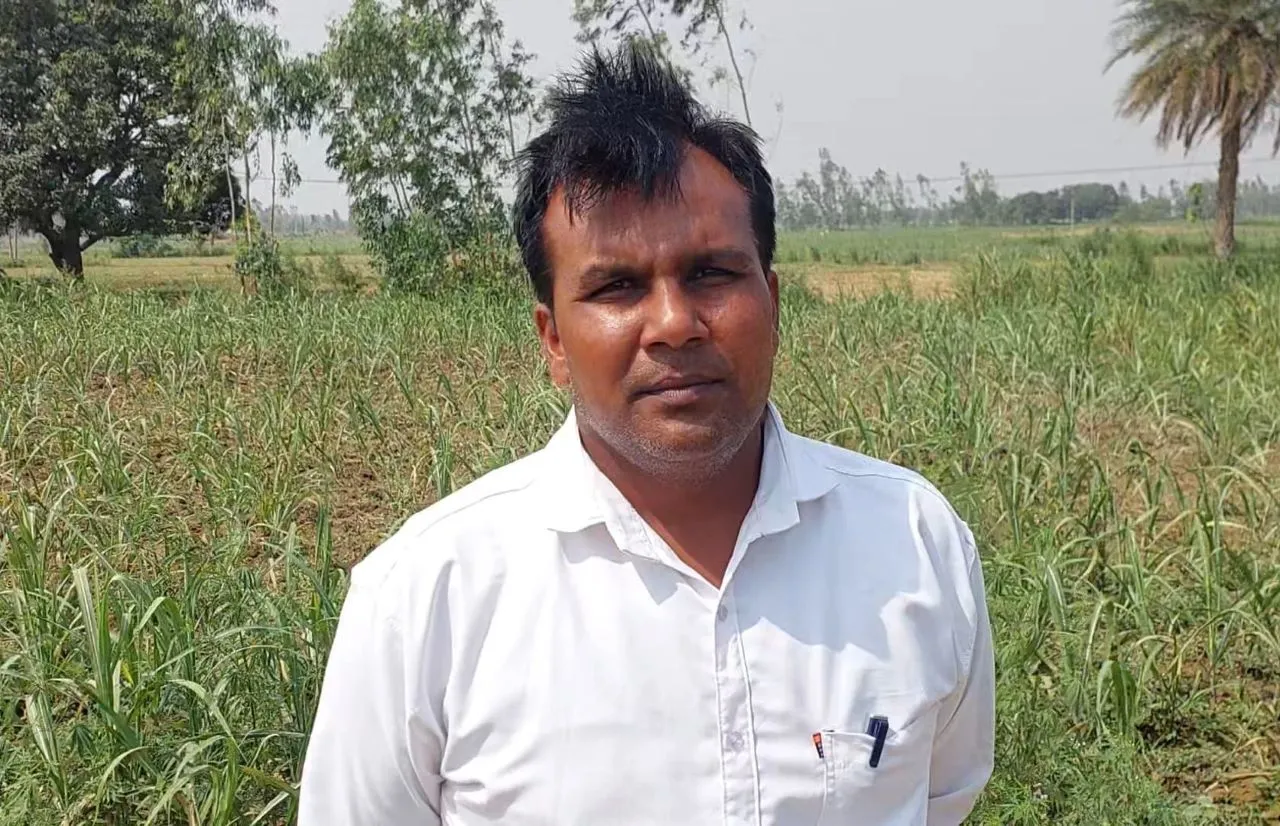 वाईबीएन