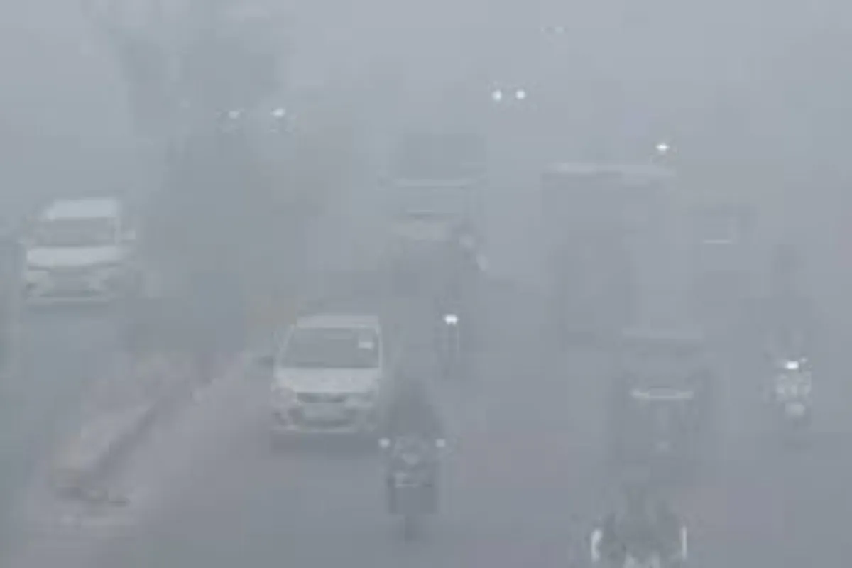 GZB rain-2