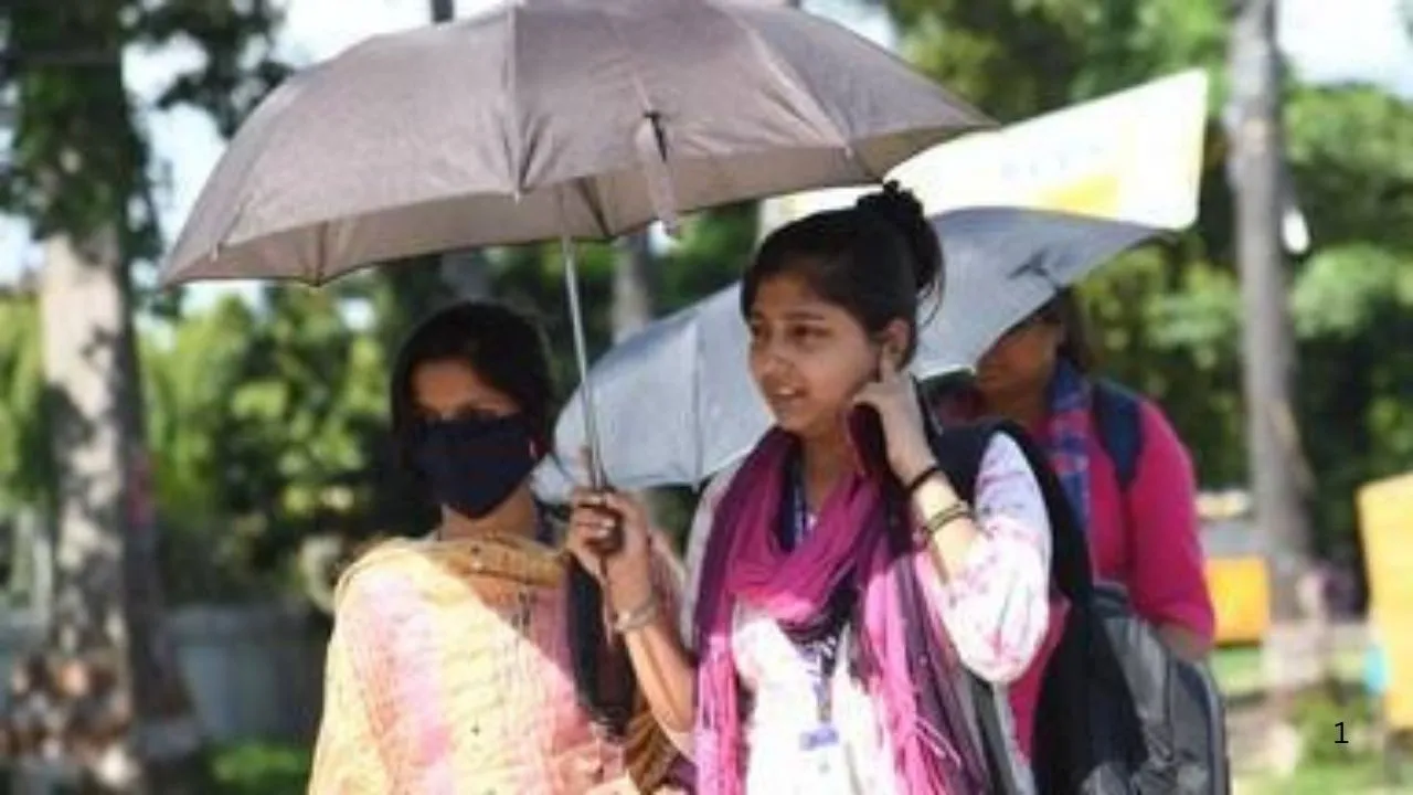 India weather forecast 24 may, 2025