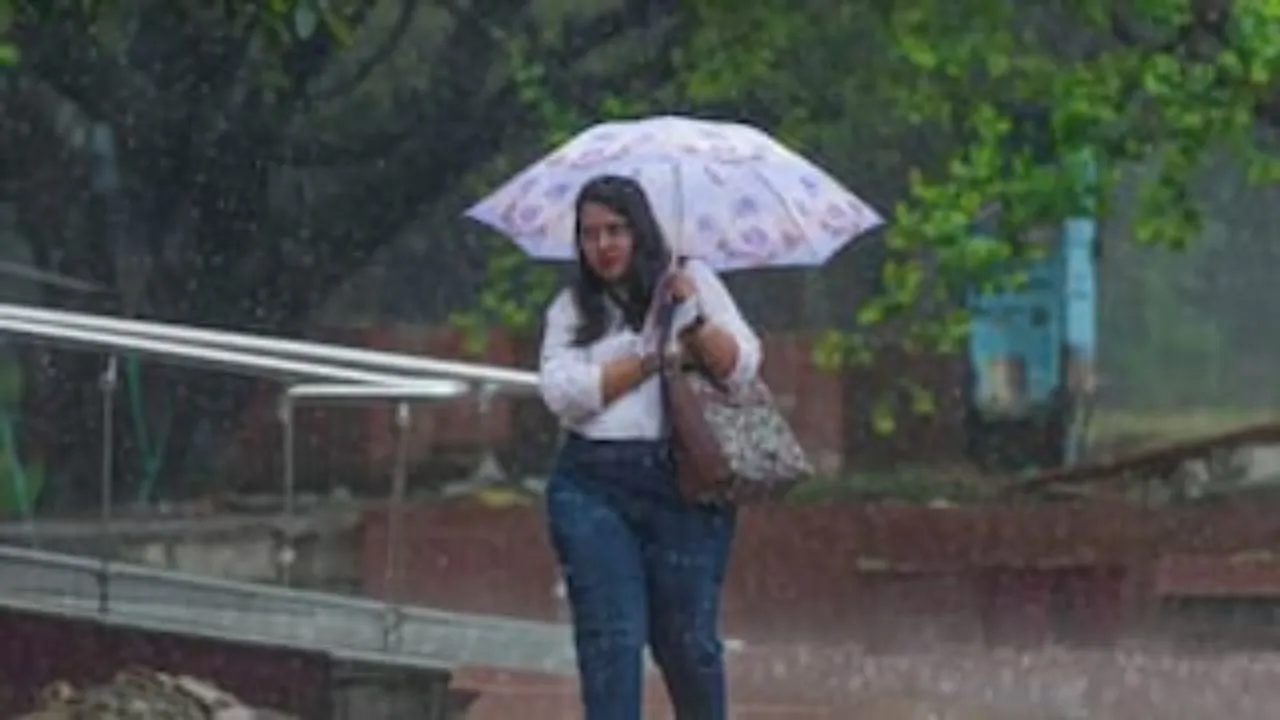 weather update 31 may 2025