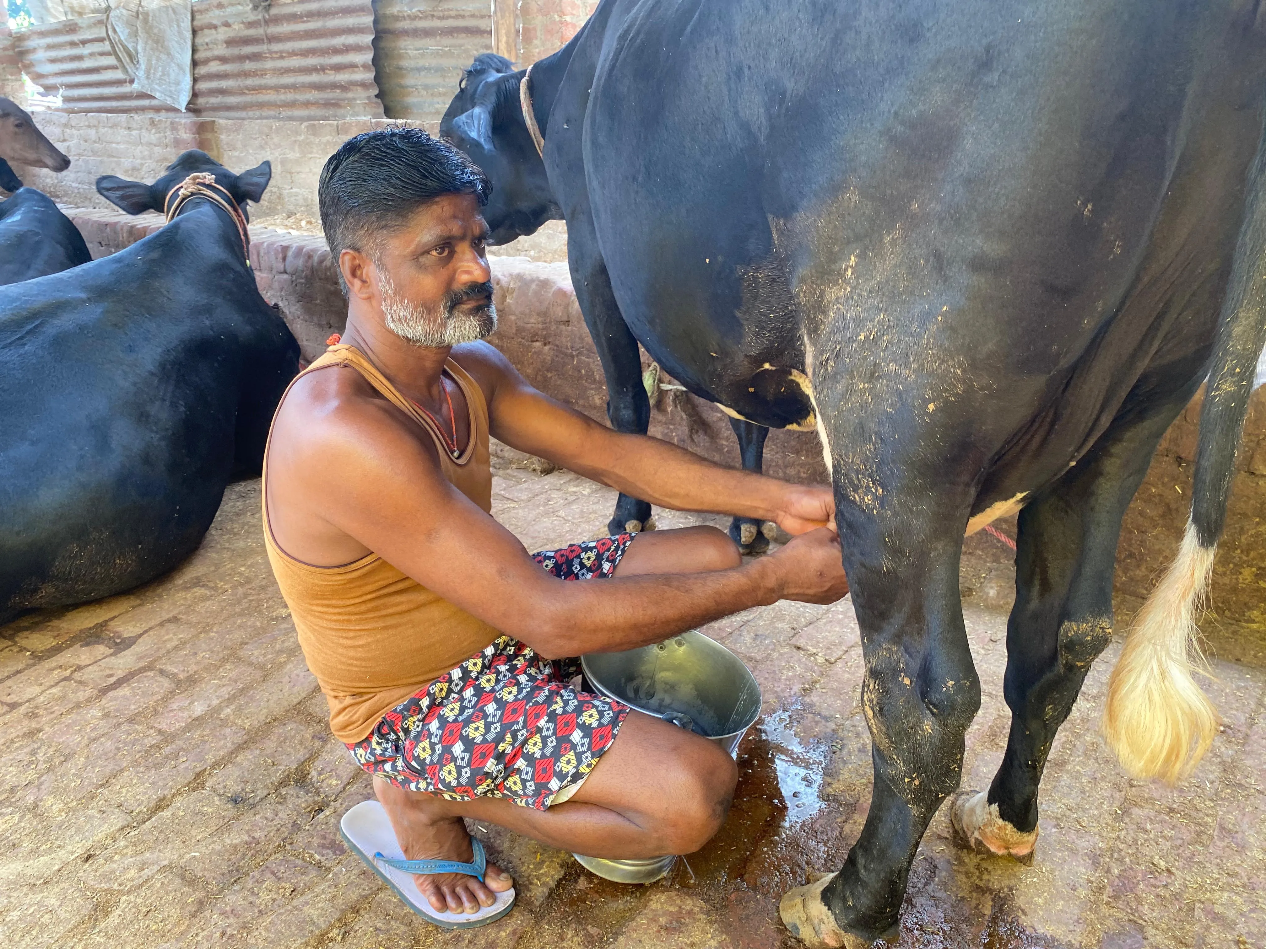 शाहजहांपुर