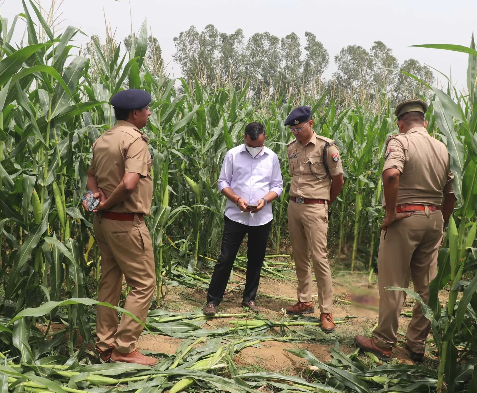 वाईबीएन 