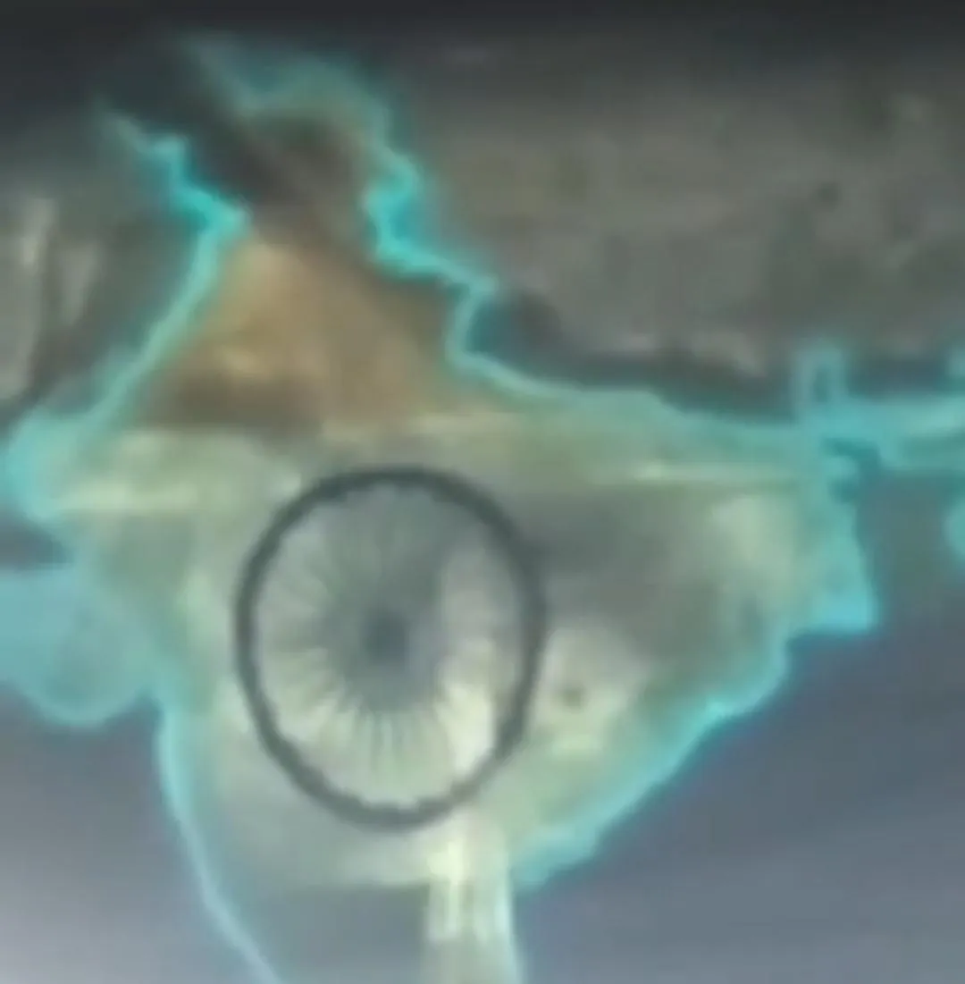 वाईबीएन