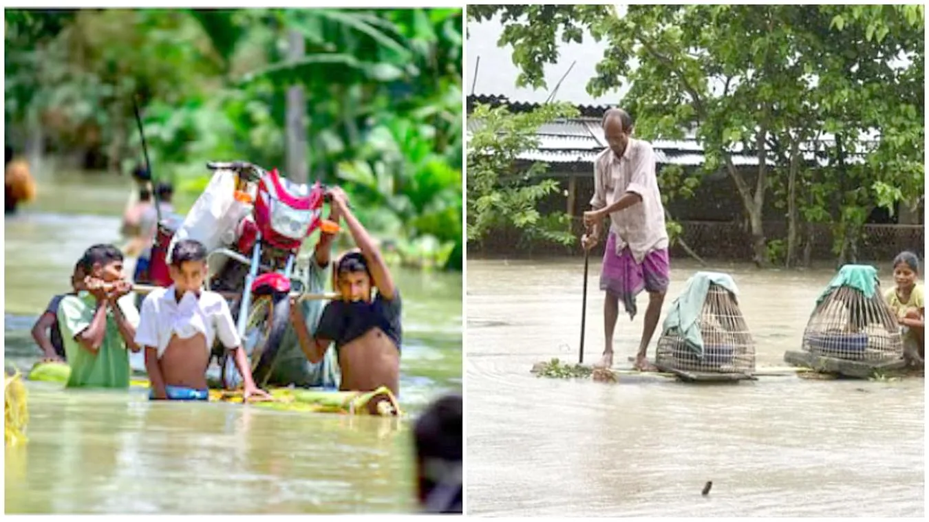Assam flood