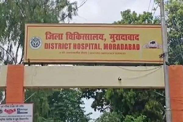 वाईबीएन