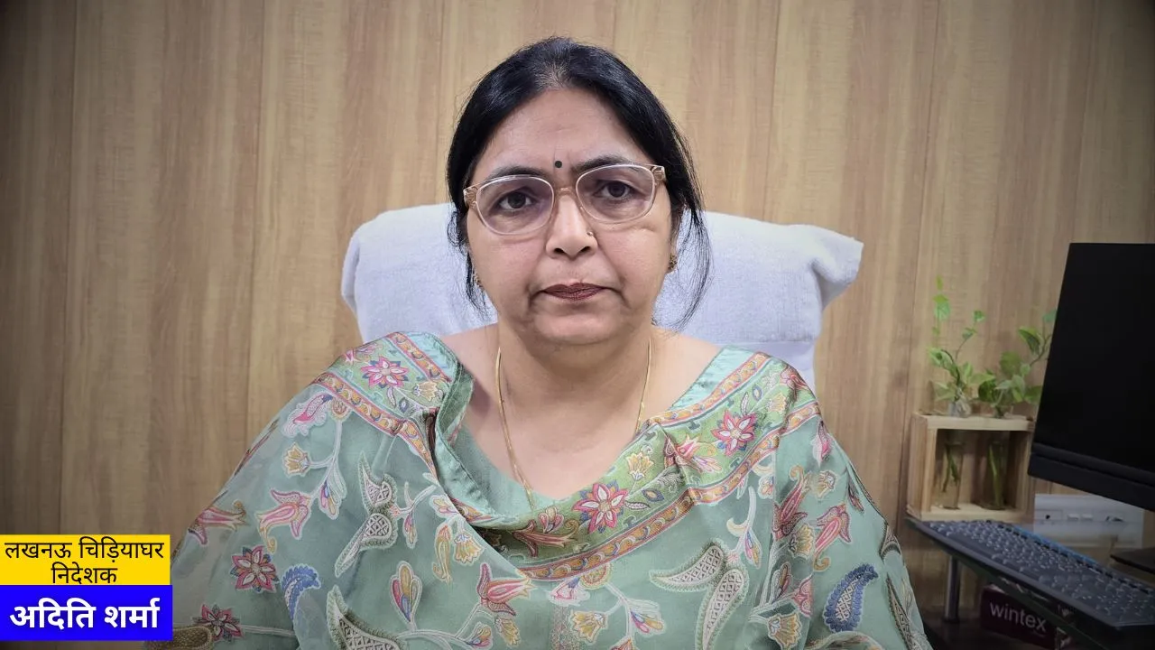 लखनऊ शहर