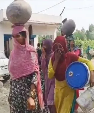 वाईबीएन 