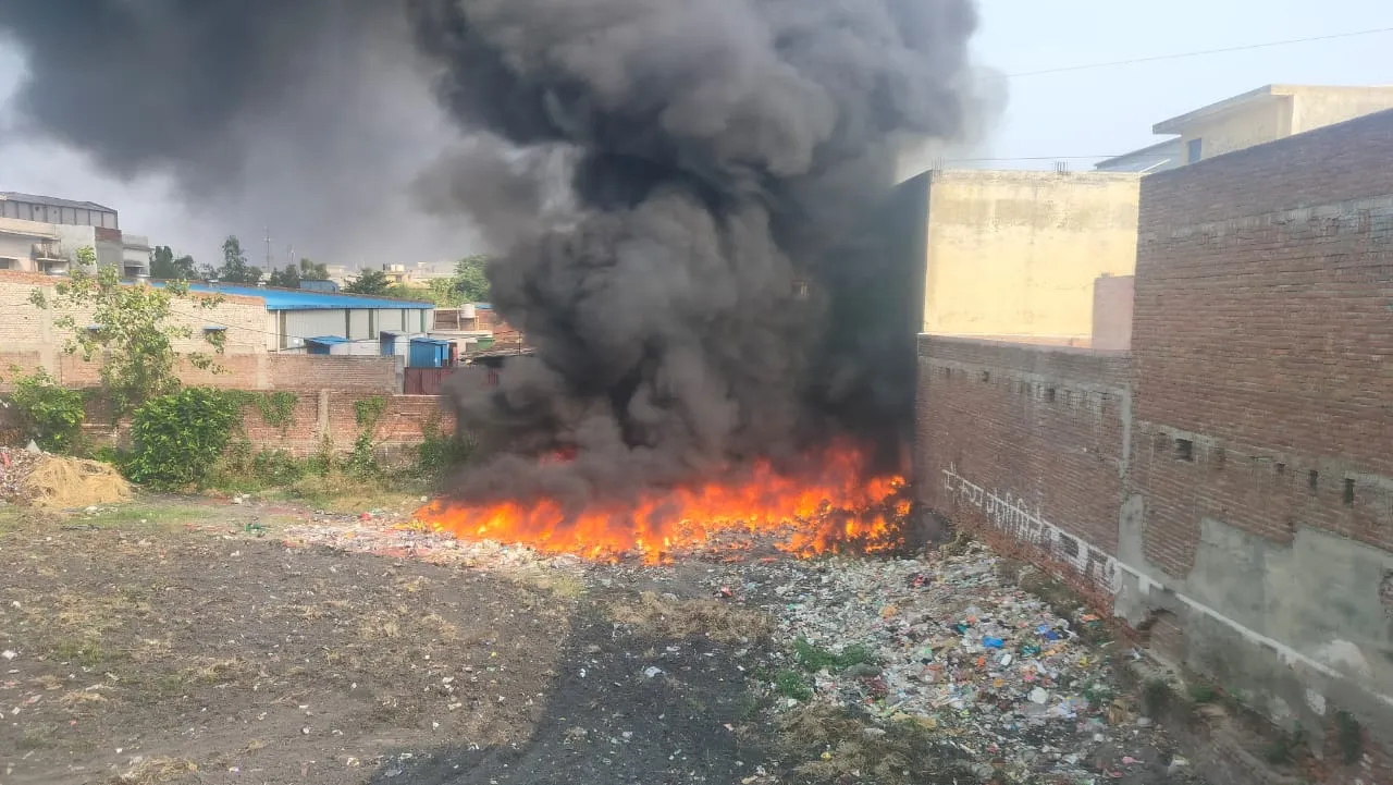 वाईबीएन