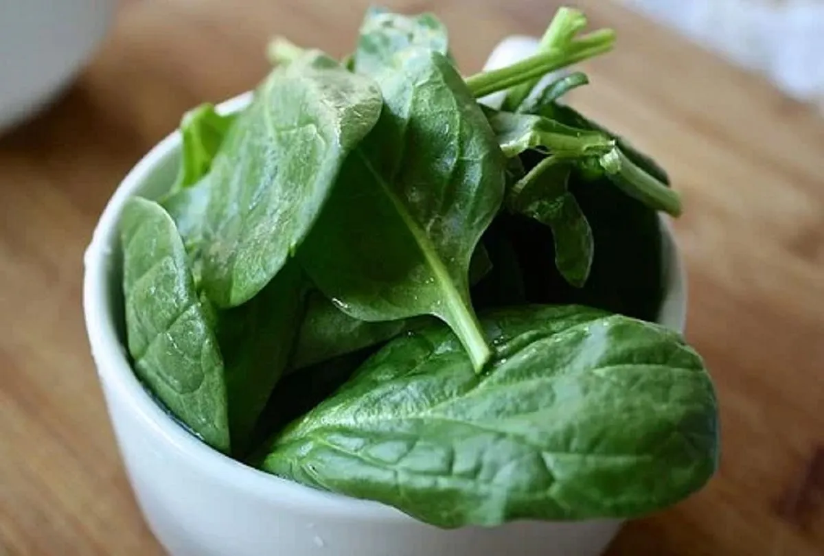 Benefits Of Eating Palak Wali Dal - Amar Ujala Hindi News Live - सर्दियों  में करें पालक की दाल का सेवन, मिल सकते हैं अनेक फायदे