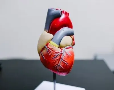 High 'good' cholesterol levels no guarantee for low heart disease risk,