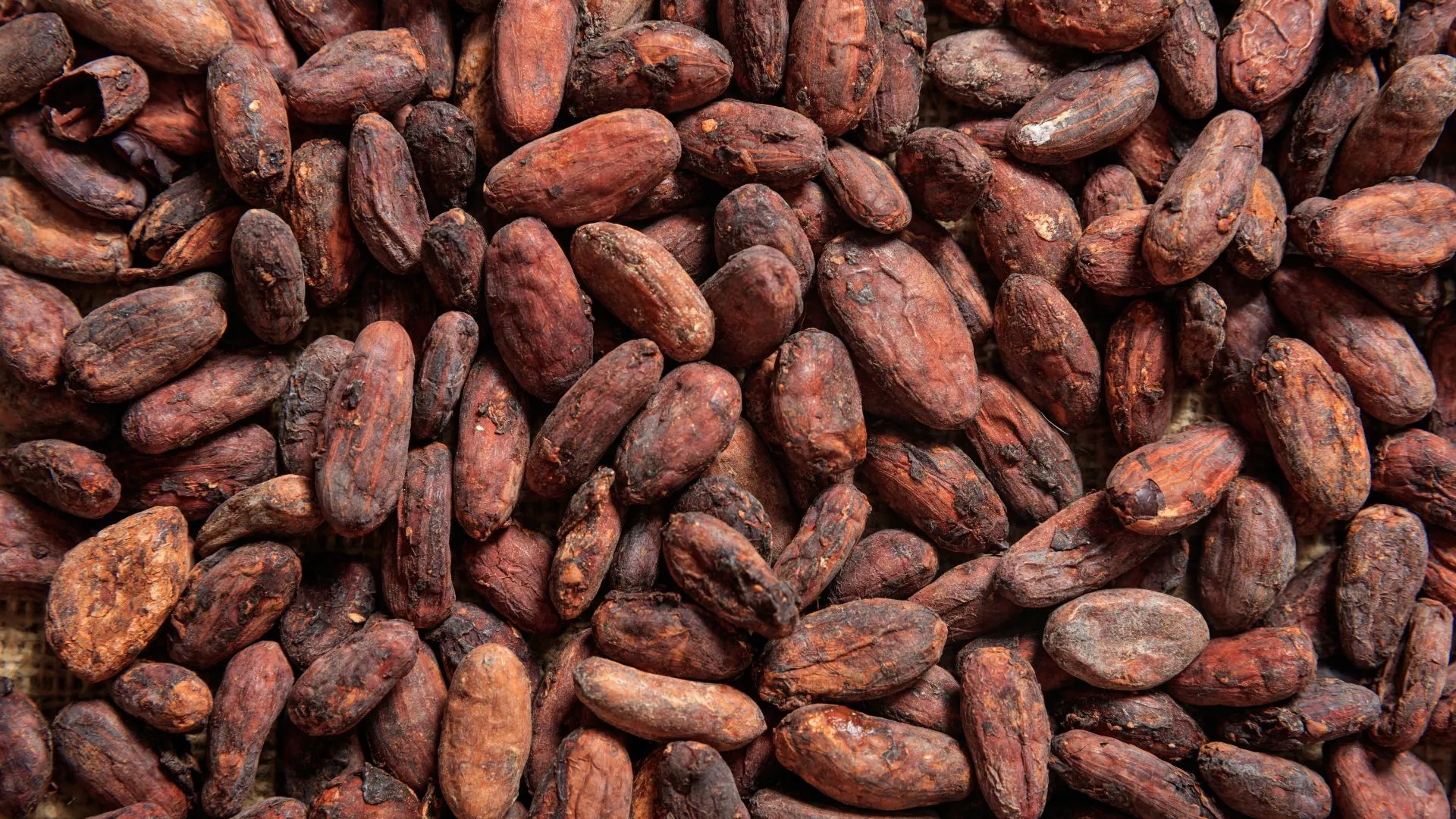 Cocoa prices have been steadily increasing due to climate change