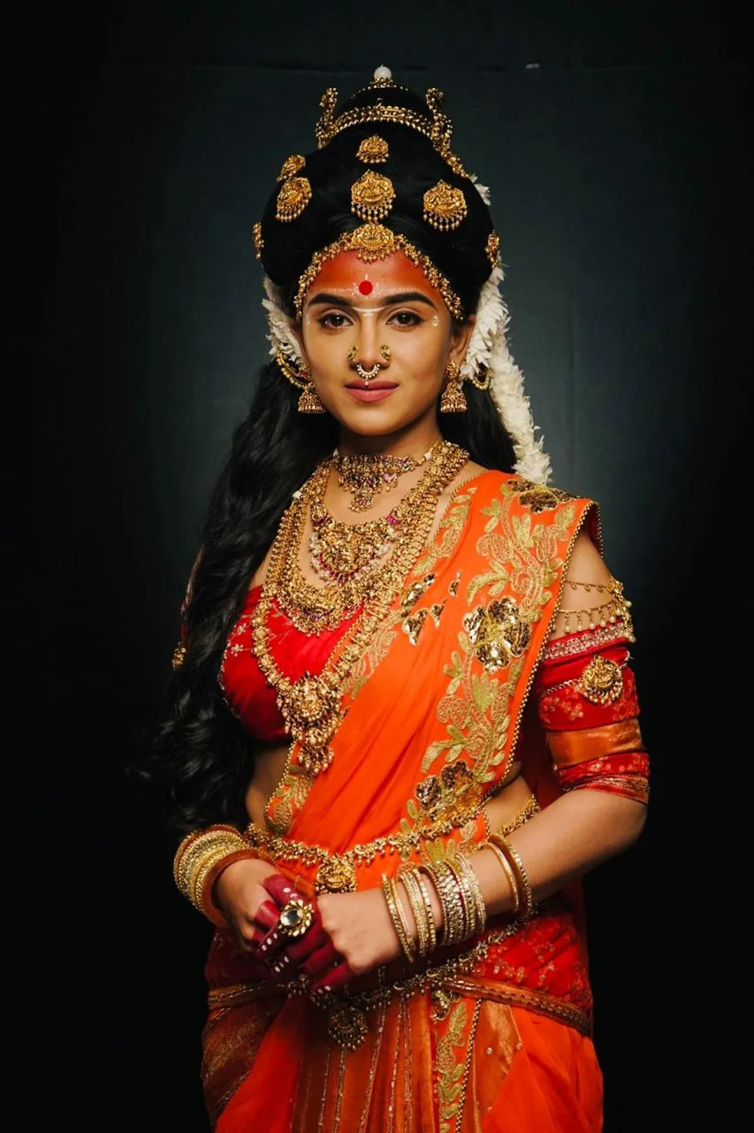 Veer Hanuman star cast (4)