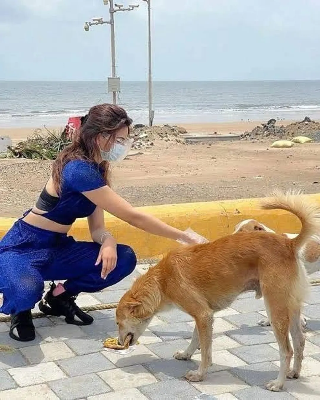 Urvashi Rautela new family member Kylie Rautela