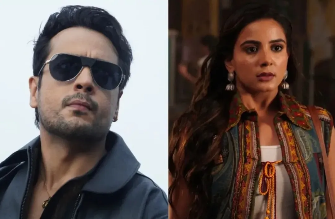 Dhaakad Beera post-leap TV series