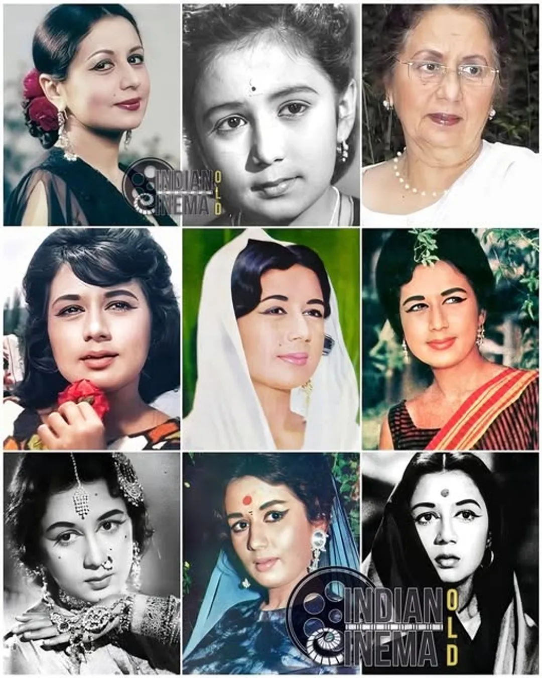 490346194_1130589642415104_433601751313073388_n