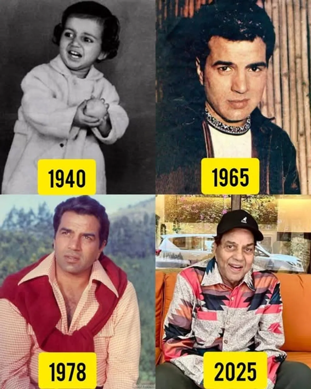 522649910_1202979544966325_8337634596838353123_n