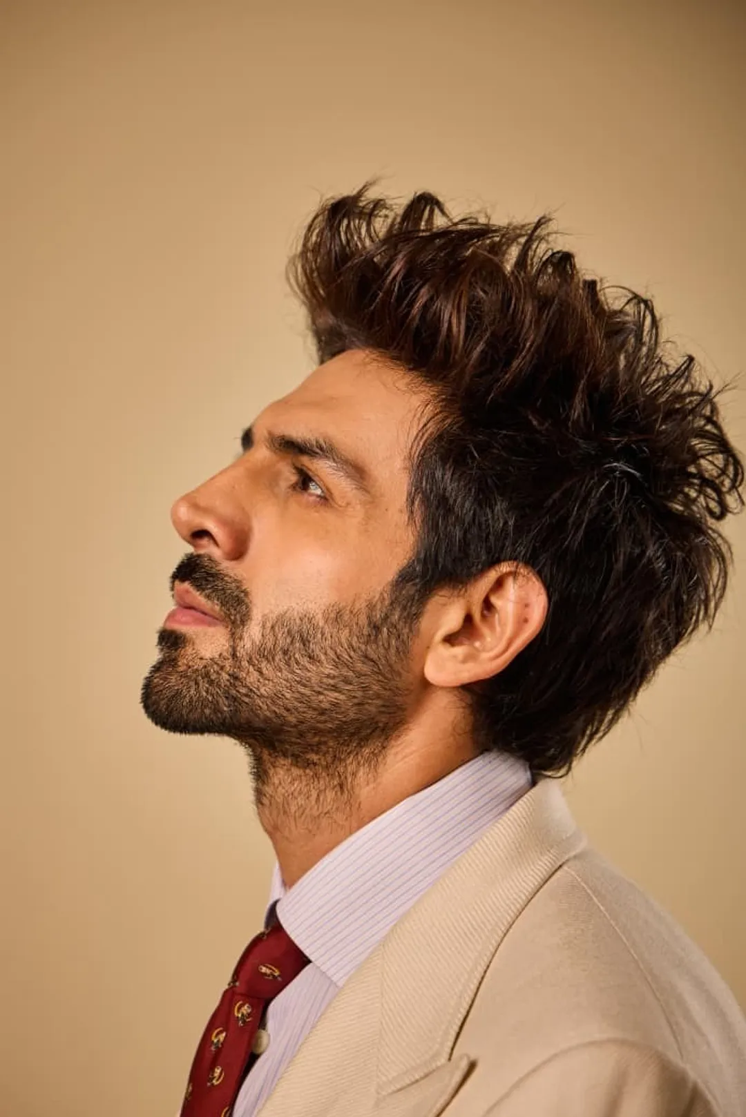 kartik aryan 2