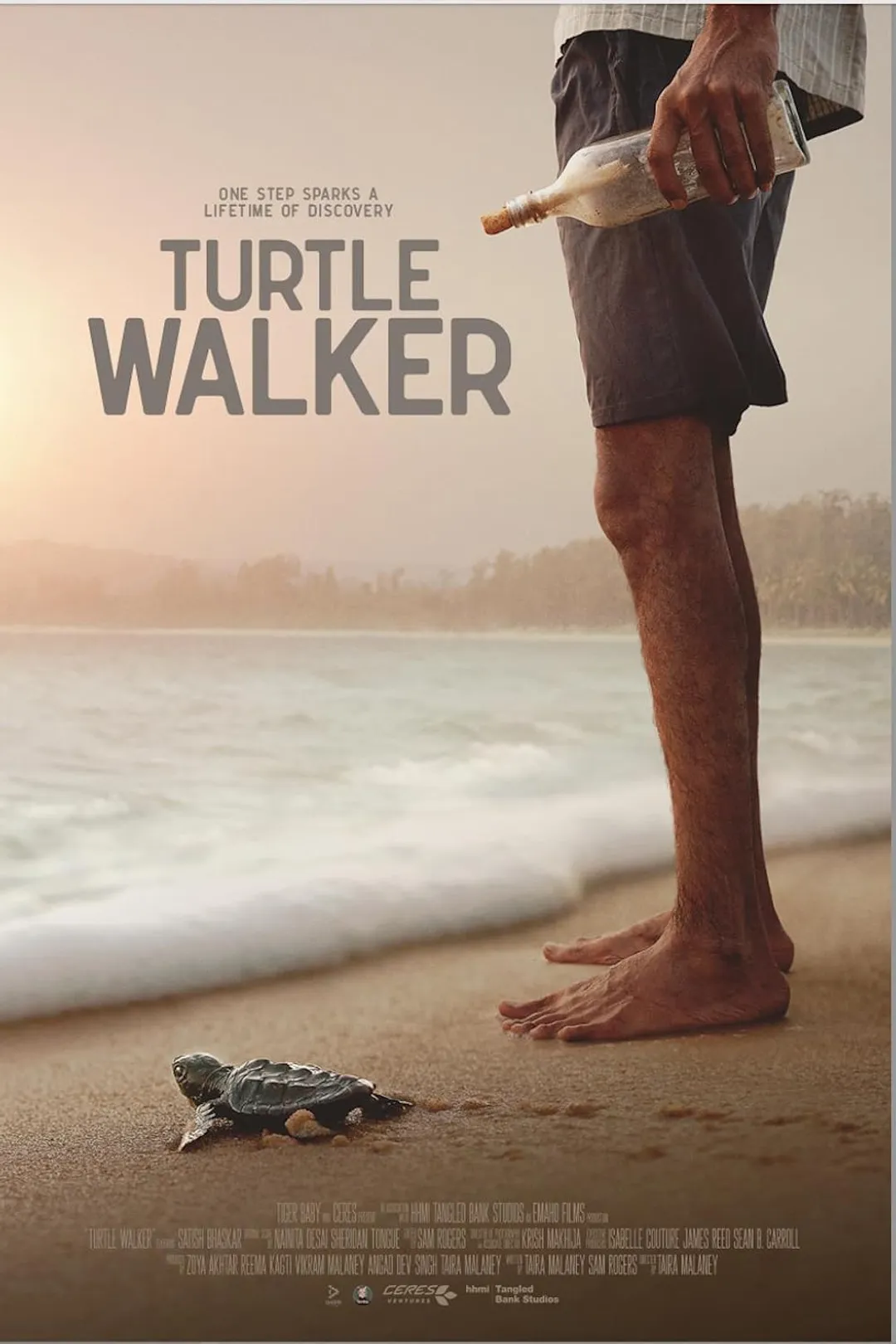 Turtle Walker (2025) - IMDb