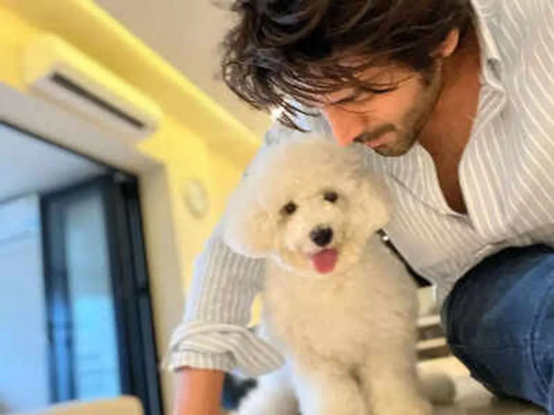 Check out Kartik Aaryan's latest picture with his pet Katori | Hindi Movie  News - Times of India