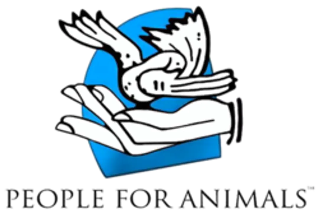 People for Animals - Wikipedia
