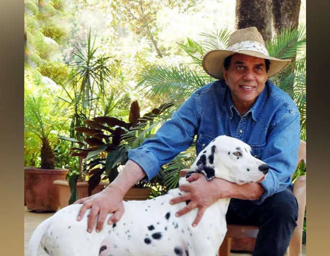 Glimpse of Dharmendra's 100-Acre Lonavala Farmhouse, Where He Spends Most  of his Time Close to Nature - PUNE PULSE