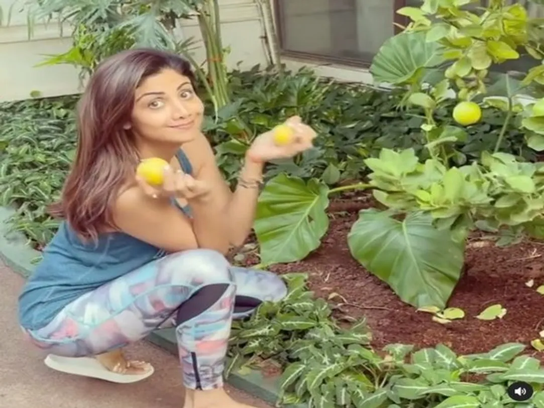 Shilpa Shetty shares 'food for thought' as she picks out lemons from  kitchen garden