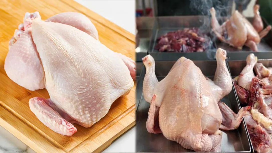 chicken