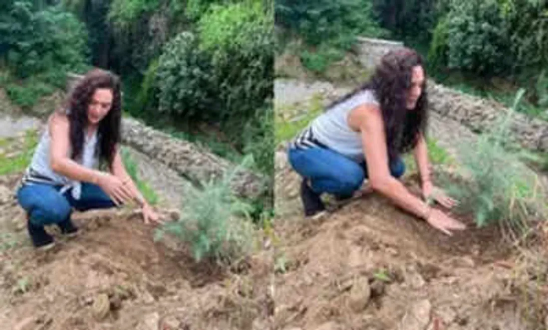 Proud Himachali' Preity Zinta talks about giving back to 'mother nature' |  - Times of India