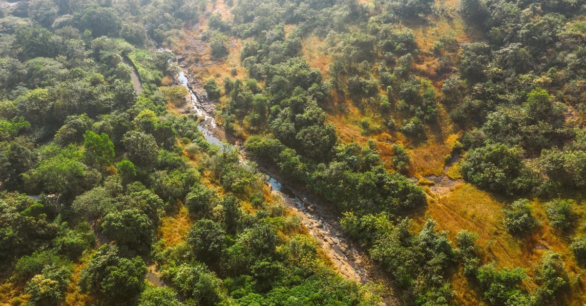 Meet the Family Growing Forests, Turning Barren Lands Into Nature Retreats 3 Hrs From Mumbai
