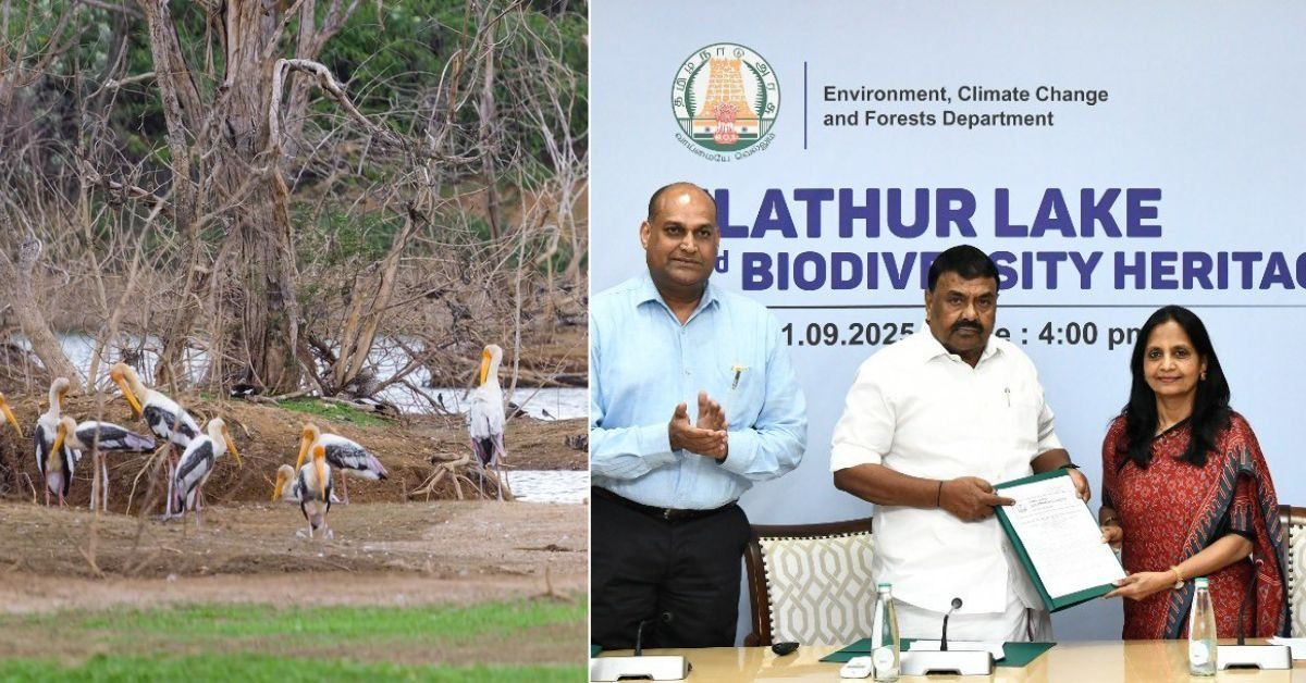 Elathur Lake Declared Tamil Nadu’s Third Biodiversity Heritage Site