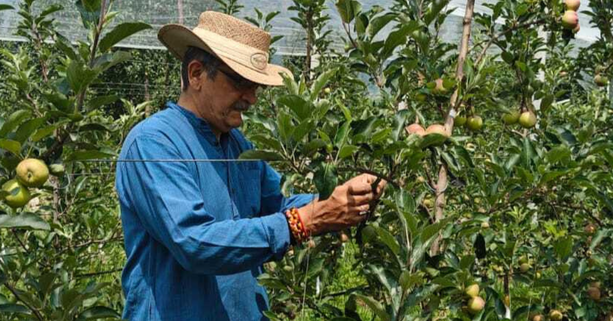 How Colonel Divya Thakur Turned Family Orchards Into Organic Apple Farms How Colonel Divya Thakur Turned Family Orchards Into Organic Apple Farms