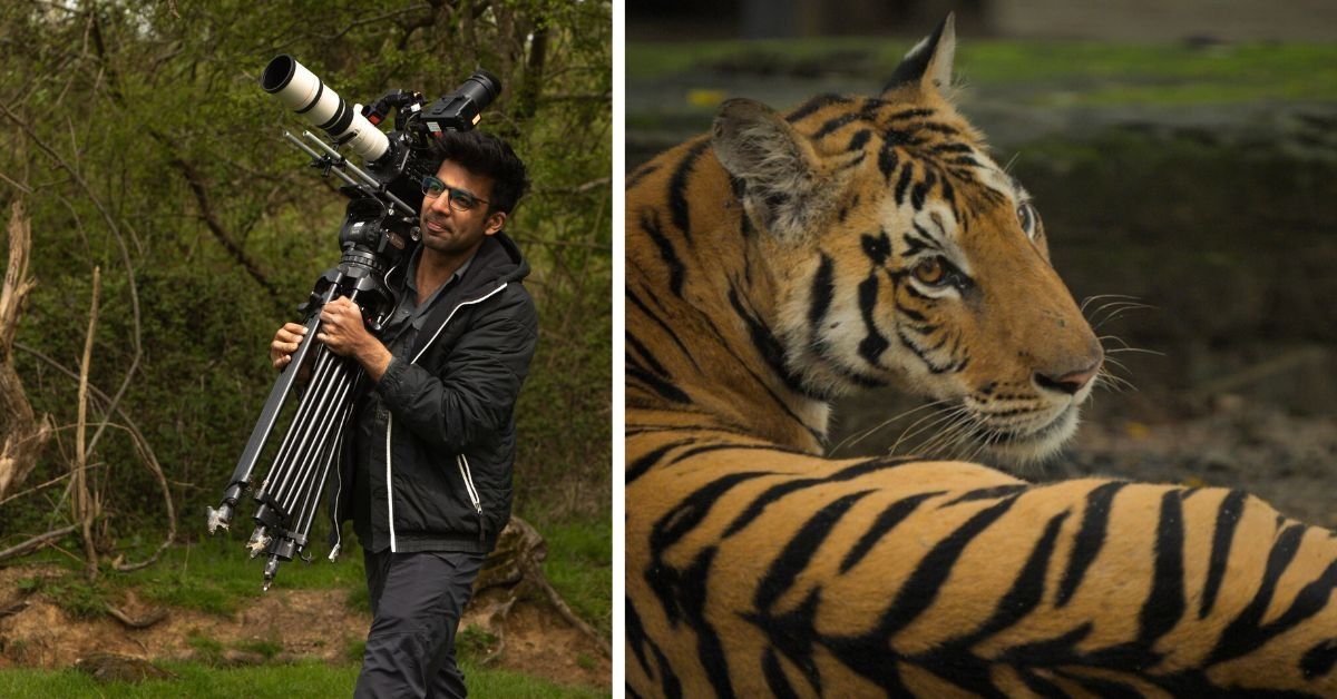 A Student’s Documentary Explores Human-Tiger Coexistence in Madhya Pradesh’s Pench